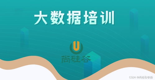 零基礎(chǔ)入門大數(shù)據(jù)開發(fā)技術(shù) 從構(gòu)建知識體系到實戰(zhàn)的完整路徑